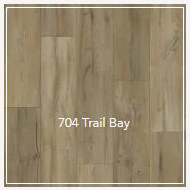 704 Trail Bay